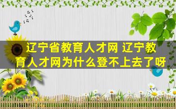 辽宁省教育人才网 辽宁教育人才网为什么登不上去了呀